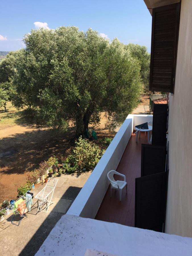 Casa Vacanza Maria Antonieta Marina di Camerota Exteriér fotografie