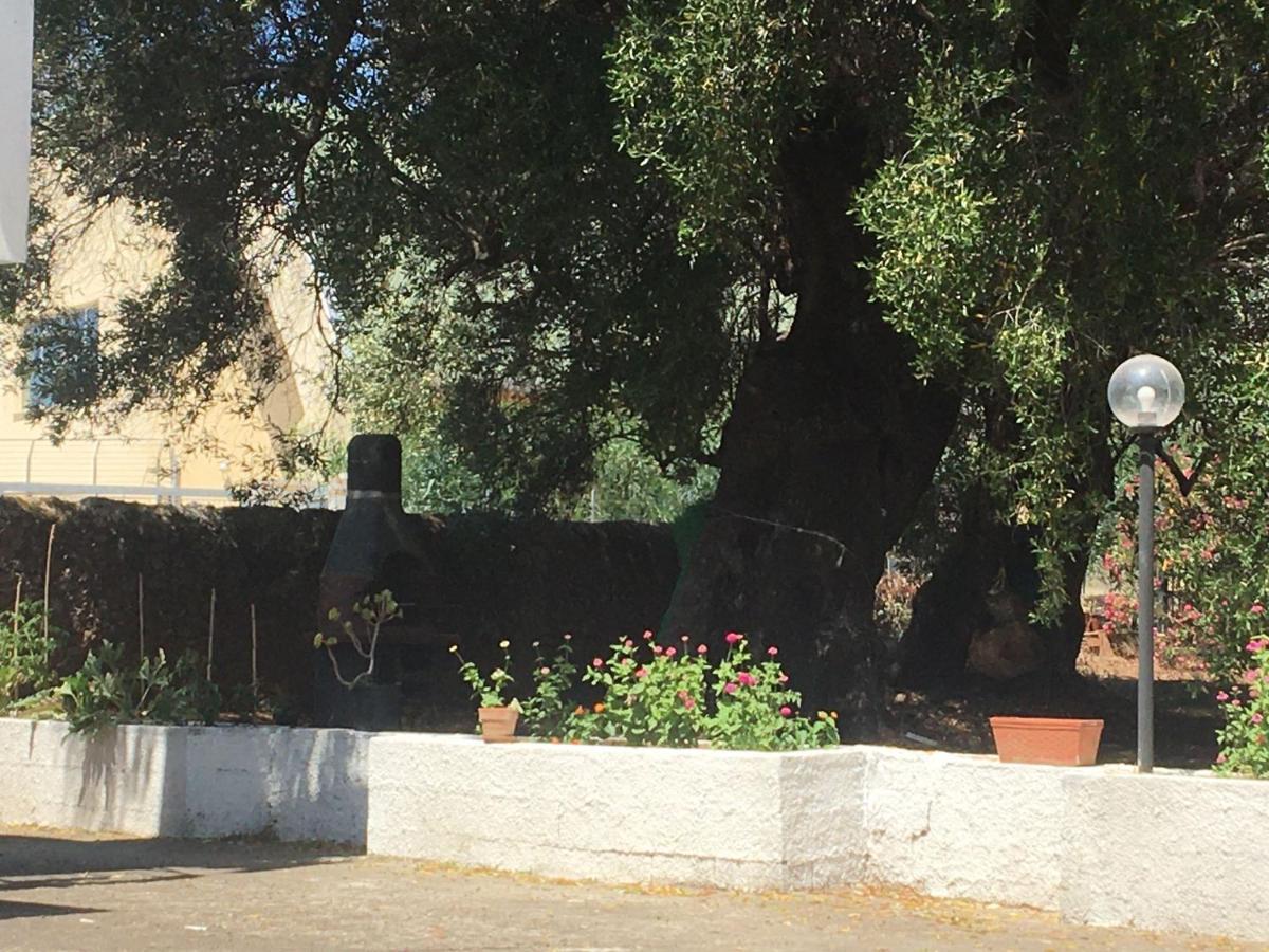 Casa Vacanza Maria Antonieta Marina di Camerota Exteriér fotografie