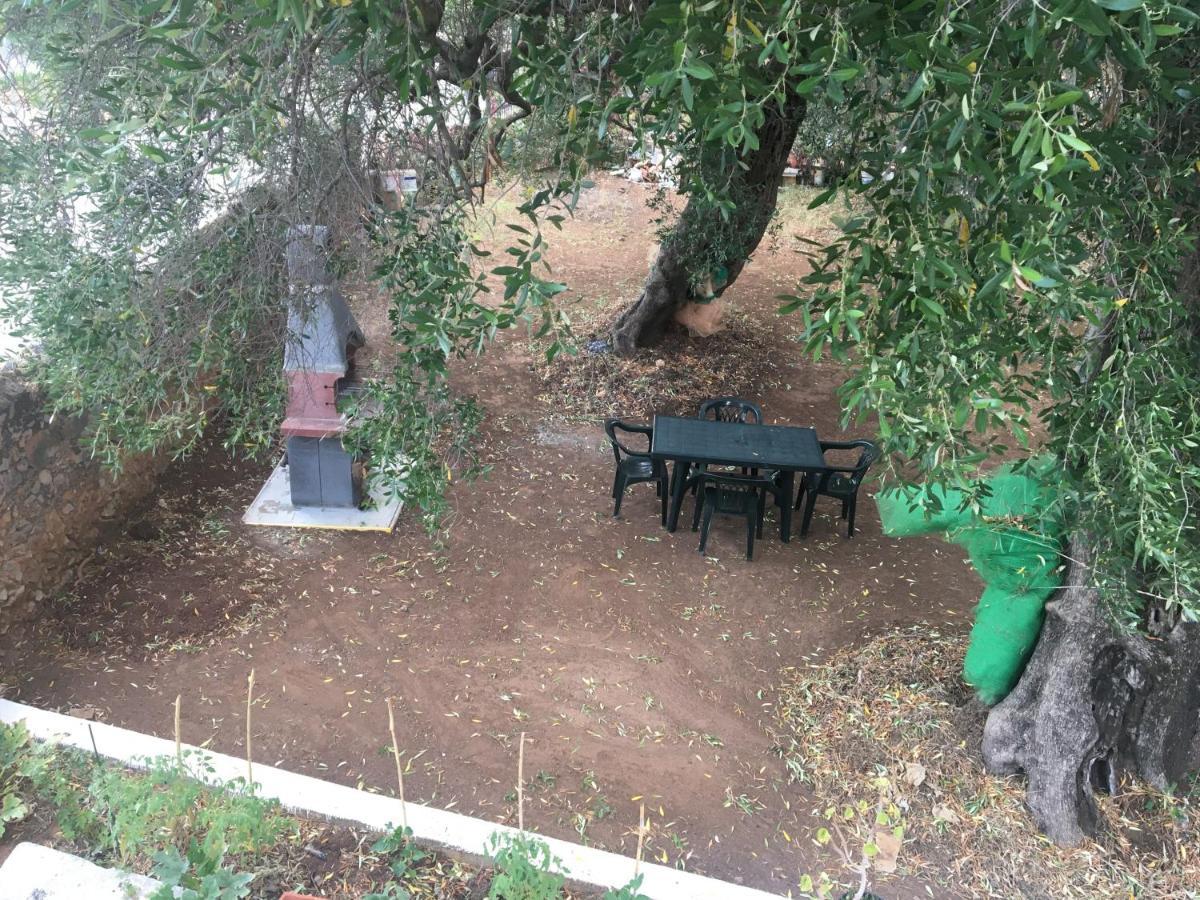 Casa Vacanza Maria Antonieta Marina di Camerota Exteriér fotografie