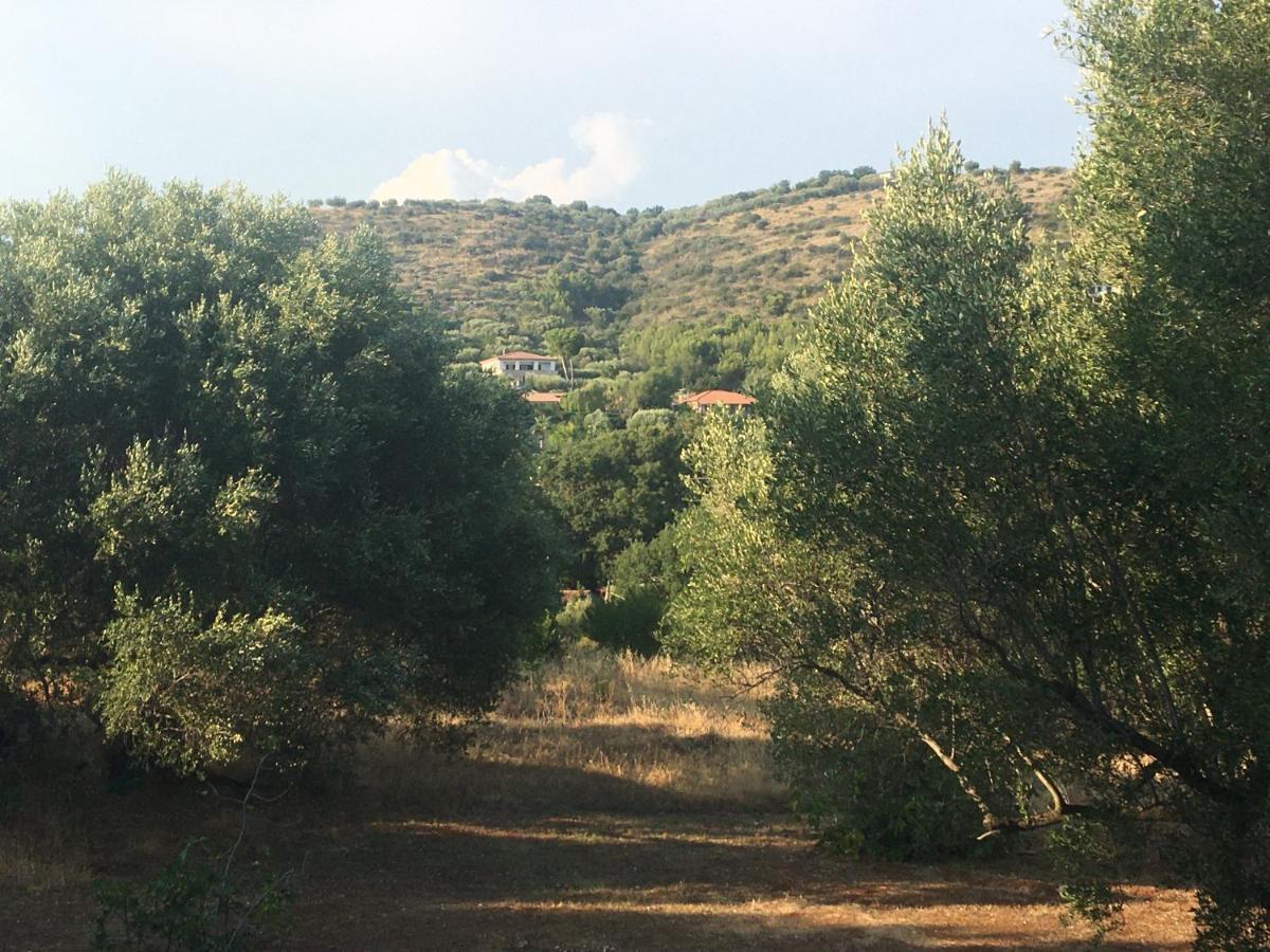 Casa Vacanza Maria Antonieta Marina di Camerota Exteriér fotografie