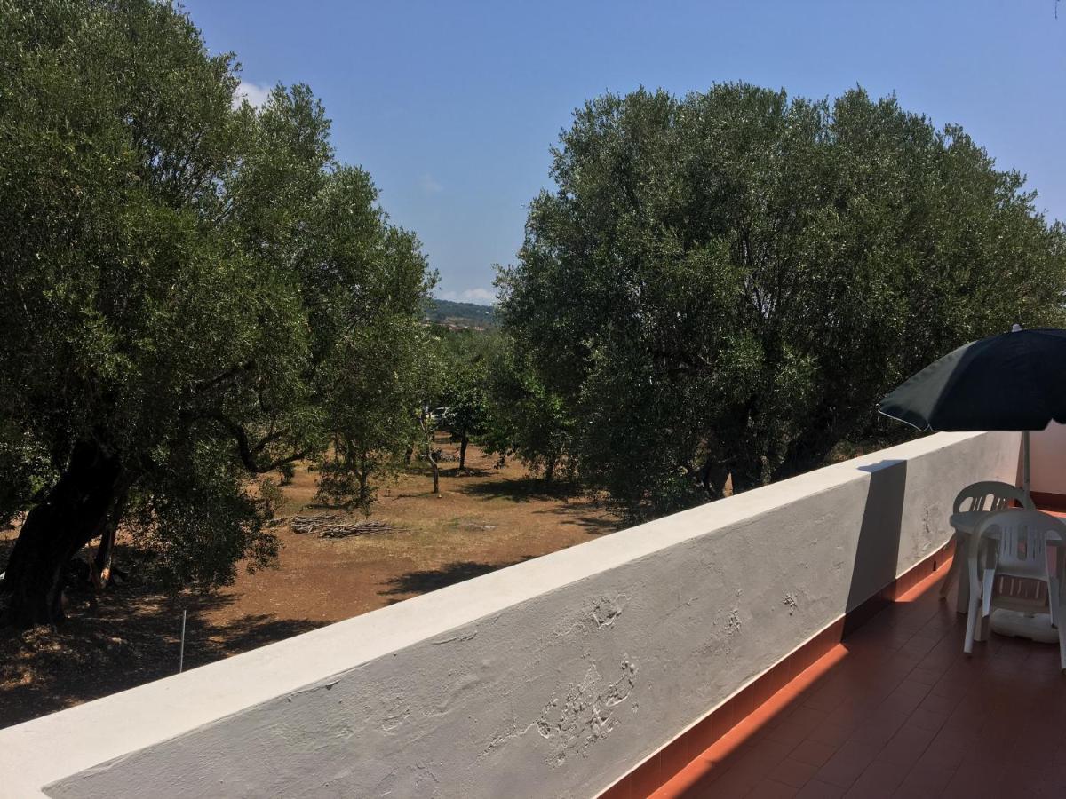 Casa Vacanza Maria Antonieta Marina di Camerota Exteriér fotografie