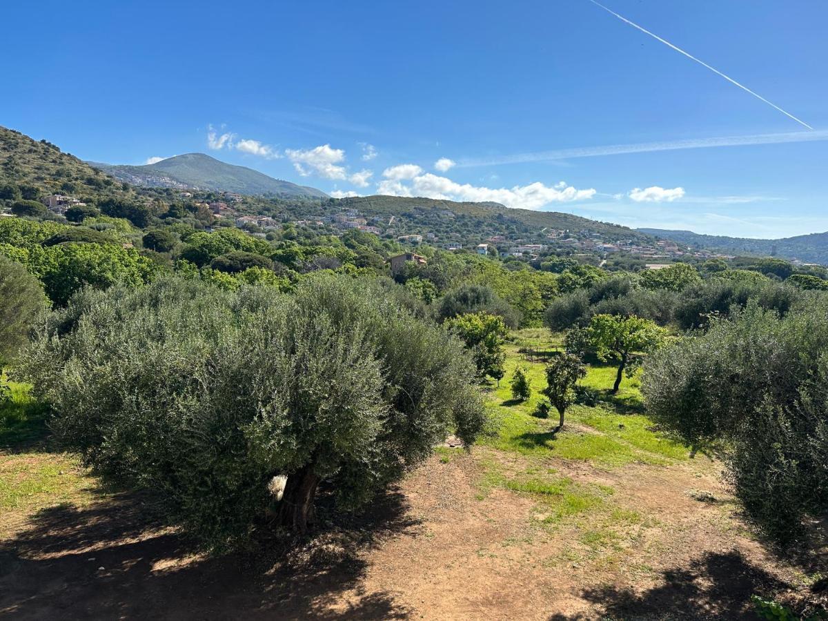 Casa Vacanza Maria Antonieta Marina di Camerota Exteriér fotografie