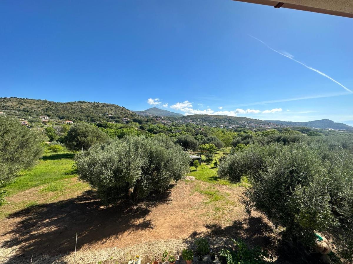 Casa Vacanza Maria Antonieta Marina di Camerota Exteriér fotografie